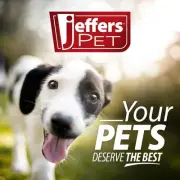 Jeffers Pet All Purpose Coconut Oil Shampoo for Dogs & Cats, 17 fl oz –