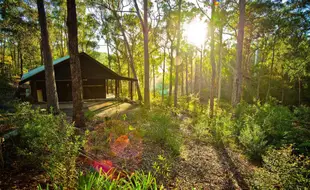 吉阿尼尼叢林別墅Kianinny Bush Cottages