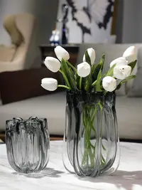 在飛比找松果購物優惠-簡約現代風玻璃花瓶 裝飾客廳玄關電視櫃桌面 (5.1折)
