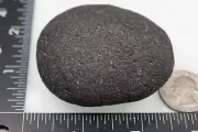 Black Sheba - Cintamani - 130g - Rarer than Saffordite Impactite Tektite #dhx40