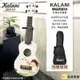 【金聲樂器】Kalani little kii 小男孩 手繪插畫系列 烏克麗麗 附琴袋 21吋