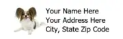 PAPILLON - Return Address Labels - 1" x 2 5/8" - Personalized