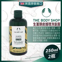 在飛比找金石堂優惠-英國THE BODY SHOP 生薑頭皮護理洗髮露250ML