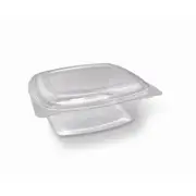 50x PET Takeaway Container Hinged Lid Rectangle 48oz 1420ml Fruit Salad Cookies
