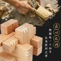 在飛比找樂天市場購物網優惠-解鎖玩具 魯班鎖孔明鎖全套兒童高智商燒腦男女孩學生早教益智玩