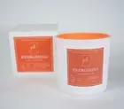 Luxury Candle for Energizing & Mood Boosting, Manifesting Vibrational Energy ...