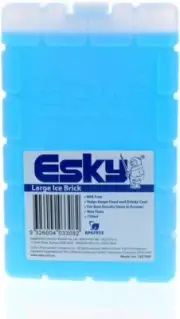 Esky Ice Brick Large (750ml) - Keep your drinks Cool in Summer