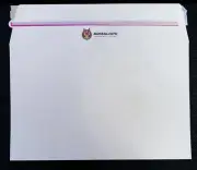 100 Armalope Standard Ebay Shipping Envelopes BRAND NEW works With Top Loaders