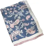 [GFM] Cashmere Texture Pashmina Style Scarf Shawl for Autumn Winter (FRLSHL-BB)