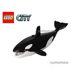 超級可愛 {全新} LEGO 樂高 虎鯨 殺人鯨 ORCA 出自 60368 動物 鯨魚