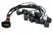 TE-06-00 0.7M End Power Cable with TF Plug C18 for Distributors
