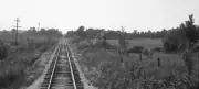 Akron Canton & Youngstown Railway tracks Medina Ohio Railway OLD PHOTO