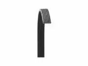 For 2014-2019 Porsche 911 Multi Rib Belt Main Drive Dayco 55358JC 2015 2016 2017 (for: Porsche)