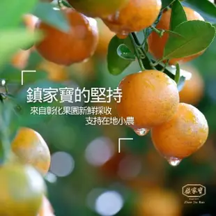 【鎮家寶】密煉金桔-精裝瓶(純天然手工熬煮/無添加防腐劑)