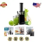 Stainless Steel Masticating Juicer, Low Speed for Nutrient-Rich Juice Extraction