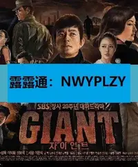 在飛比找露天拍賣優惠-nwyplzy精選DVD 賣場 韓劇【巨人GIANT兄妹情深