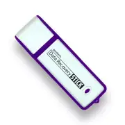 Data Recovery Stick - Recover Deleted Data from Windows Computers & Drives