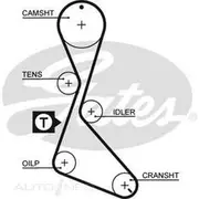 Gates Timing Belt - T834