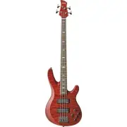 Musical Instrument Award 2023 Ranked Yamaha YAMAHA TRB1004J CMB Electric Bass