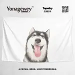 可愛西伯利亞雪橇哈士奇二哈汪星人狗裝飾海報背景布掛布牆布掛毯