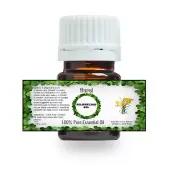 100% PURE NATURAL HELICHRYSUM ESSENTIAL OIL 5 ML TO 100 ML FROM INDIA