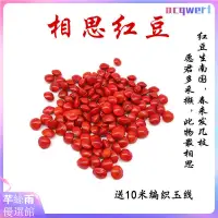 在飛比找蝦皮購物優惠-相思豆種子紅豆散珠打孔 安紅豆血菩提子原籽手鍊手串飾品豆 芊