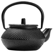 Small Teapot with Infuser Cast Living Room Decoration