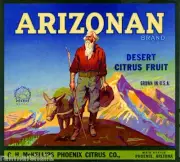 Phoenix Arizonan Arizona Gold Digger Orange Citrus Fruit Crate Label Art Print