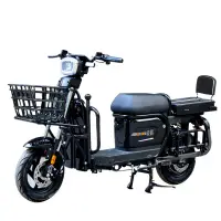 在飛比找蝦皮購物優惠-【價格直降】新國標款載重王電動車60V72V腳踏自行車外賣載