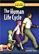 The Human Life Cycle