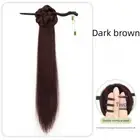 Chinese Style Ponytail Wigs with Claw Clip Hair Extensions for Women