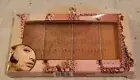 Ellen Tracy - ROSY BLUSH PALETTE - Ultra Blendable Shades - New In Box