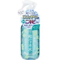 潤素肌 薄荷涼感爽身噴霧 250ml