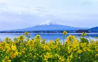 在飛比找雄獅旅遊優惠-省最大東京促銷｜全程無自理餐～河口湖富士山.輕井澤.伊香保.