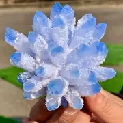 271GNewly discovered blue phantom crystal quartz cluster mineral sample healing