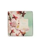 Set of 2 MISTRAL Shea Butter Olive Oil Bar Soap 100g Apricot Fleuri Scent