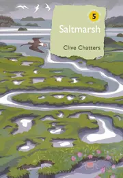 Saltmarsh