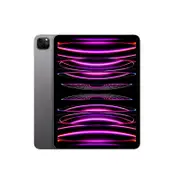 Apple iPad Pro 11 4th Gen Wi-Fi 128GB Grey [~Renewed: Very Good]