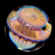 RYAN WHITMORE GLASS MARBLE/2.124"-1000 TRANSPARENT PETALS-PINK,TURQ,PEACH,CREAM+