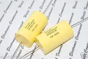 1pcs - REL-CAP RT 1uF (1µF) 250V 5% Axail Capacitor RT105J2.5A For Audio