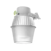 250W Equivalent Barn Light with 29W LED bulb Outdoor Dusk to Dawn Area and Fl...