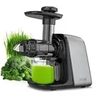 Masticating Juicer, Cold Press Juicer for Vegetable and Fruit, Juicer Silver
