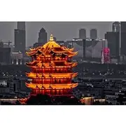 Save 30.00%! Sense-sational Wuhan (Guided Tour / Private Tour / City Tour)