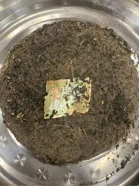 在飛比找Yahoo!奇摩拍賣優惠-易武 同慶號 茶餅 普洱茶（生蟲屎）