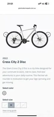 bicycle giants