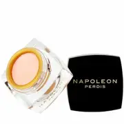 Napoleon Perdis The One Concealer