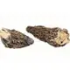 DR.OKO有機羊肚菌 100% organic dried Morel 淨重：15g