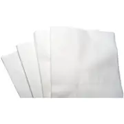 BeautyPro Disposable Large Towelettes (Pack of 80)