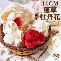 在飛比找PChome24h購物優惠-【極度花燥】蓪草牡丹花 大牡丹11CM