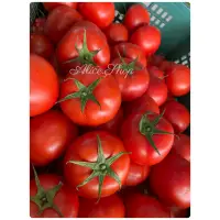 在飛比找蝦皮購物優惠-採期結束‼️牛番茄高山溫室種植 產地直出 牛番茄 全紅蕃茄 